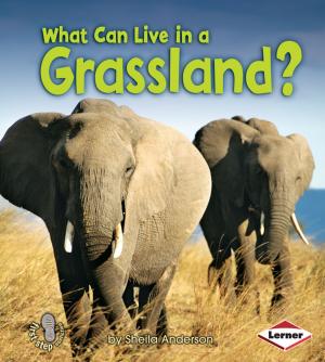 Cover of the book What Can Live in a Grassland? by Heidi Smith Hyde