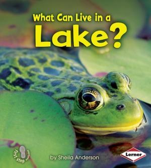 Cover of the book What Can Live in a Lake? by Buffy Silverman