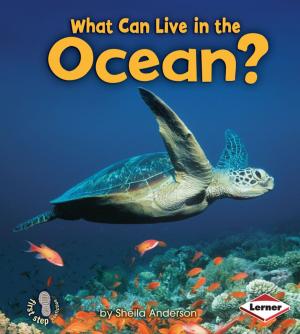 bigCover of the book What Can Live in the Ocean? by 