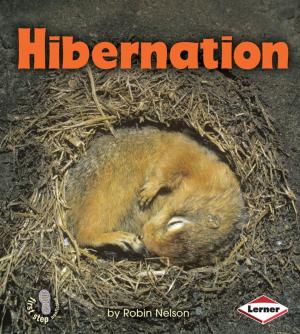 Cover of the book Hibernation by Brian P. Cleary