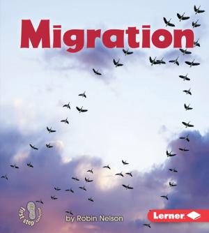 Cover of the book Migration by Darice Bailer