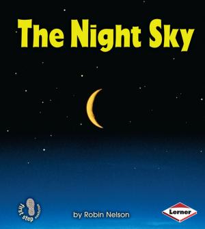 Cover of the book The Night Sky by Liz Sonneborn
