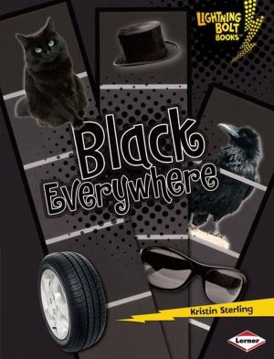 Cover of the book Black Everywhere by Carrie Mesrobian