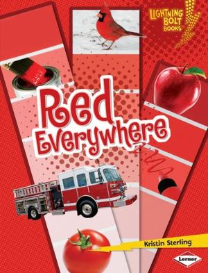 Book cover of Red Everywhere