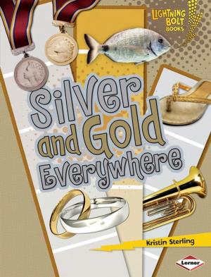 Cover of the book Silver and Gold Everywhere by Nancy Furstinger