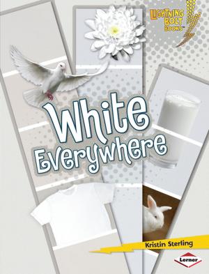 bigCover of the book White Everywhere by 