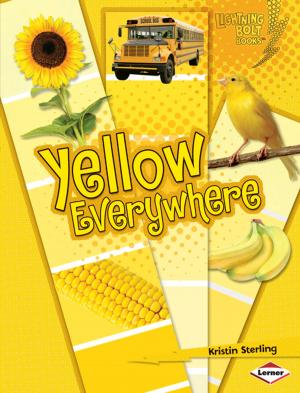 Book cover of Yellow Everywhere