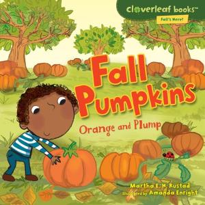 Cover of the book Fall Pumpkins by Jennifer Elvgren