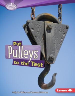 Cover of the book Put Pulleys to the Test by Susan J. Korman
