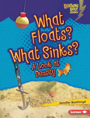 Cover of the book What Floats? What Sinks? by Jennifer Boothroyd
