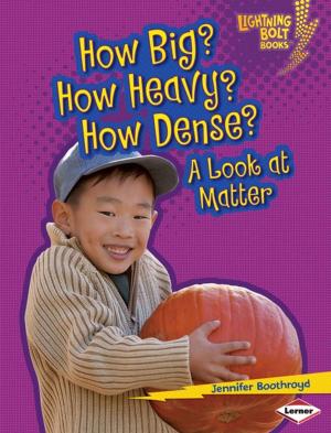 Cover of the book How Big? How Heavy? How Dense? by Martha E. H. Rustad