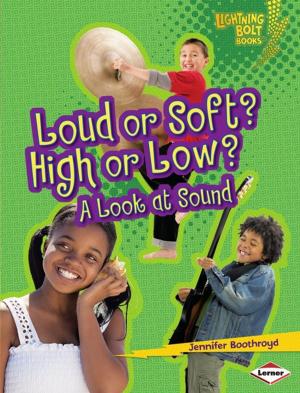 Cover of the book Loud or Soft? High or Low? by Buffy Silverman