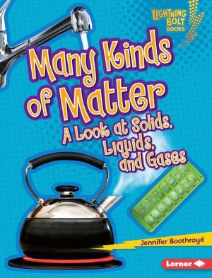 Cover of the book Many Kinds of Matter by Roseann Feldmann, Sally M. Walker