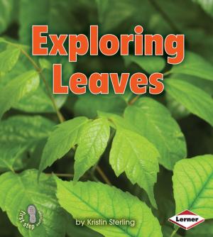 Cover of the book Exploring Leaves by Lisa Bullard