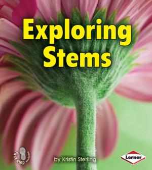 Cover of the book Exploring Stems by Michael J. Rosen