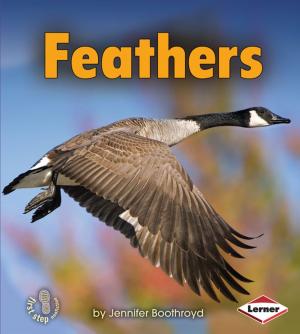 Cover of the book Feathers by Edgar Allan Poe