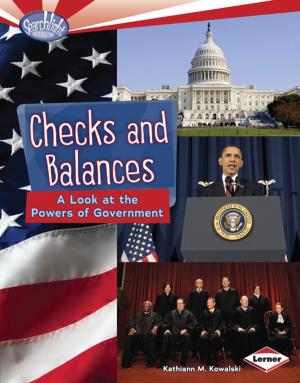 Cover of the book Checks and Balances by Matt Doeden