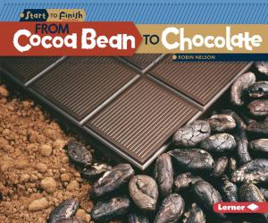 Cover of the book From Cocoa Bean to Chocolate by Darice Bailer