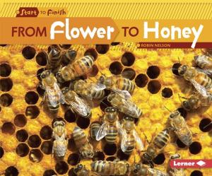Book cover of From Flower to Honey
