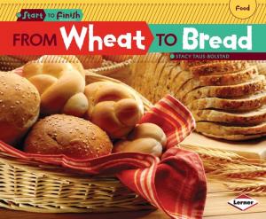Cover of the book From Wheat to Bread by David Lubar