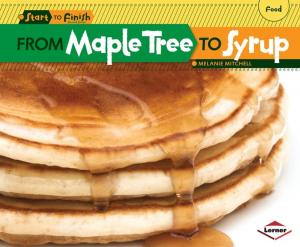Book cover of From Maple Tree to Syrup