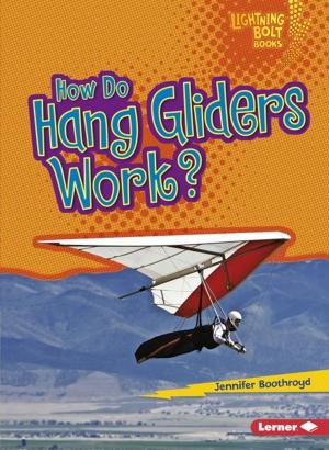 Cover of the book How Do Hang Gliders Work? by Lisa J. Amstutz