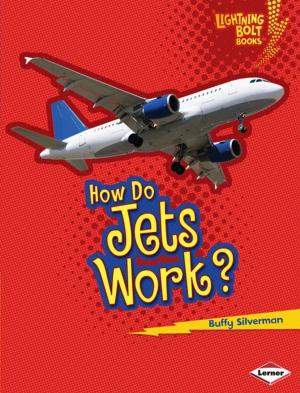 Cover of the book How Do Jets Work? by Laura Hamilton Waxman