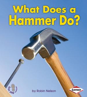 Book cover of What Does a Hammer Do?