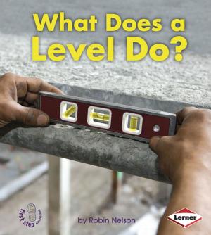 Cover of the book What Does a Level Do? by Laura Purdie Salas