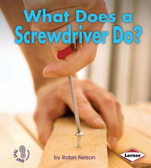 Cover of the book What Does a Screwdriver Do? by Marcia Amidon Lusted