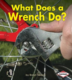 Cover of the book What Does a Wrench Do? by Lisa Wheeler