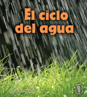 Cover of the book El ciclo del agua (Earth's Water Cycle) by Matt Doeden