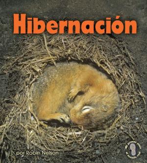 Cover of the book Hibernación (Hibernation) by Amanda J Michaels
