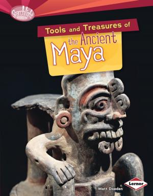 Book cover of Tools and Treasures of the Ancient Maya