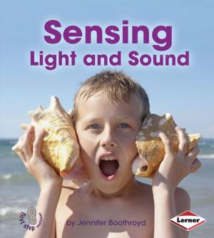 Cover of the book Sensing Light and Sound by Tessa Kenan