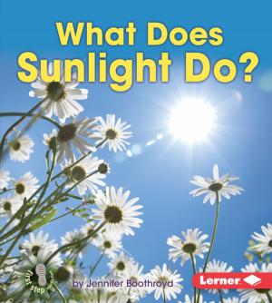 bigCover of the book What Does Sunlight Do? by 
