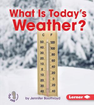 Cover of the book What Is Today's Weather? by Rebecca L. Johnson