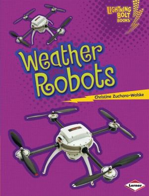 Cover of the book Weather Robots by Rob Ives
