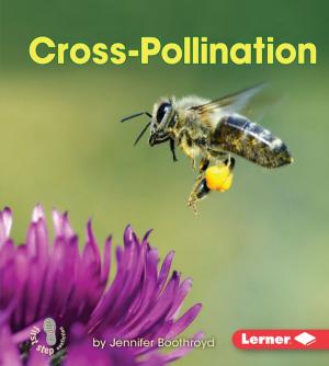 Cover of the book Cross-Pollination by Jeffrey Zuehlke