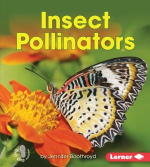 Cover of the book Insect Pollinators by MIchael Broad