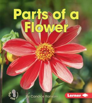 Cover of the book Parts of a Flower by Suzanne Weyn