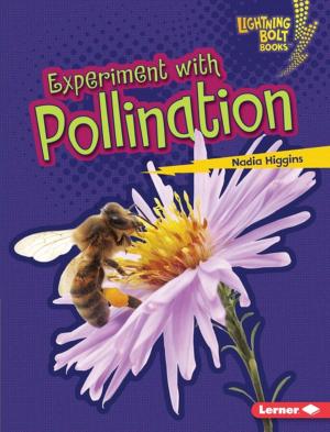 Book cover of Experiment with Pollination