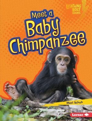 Cover of the book Meet a Baby Chimpanzee by Laurie Friedman