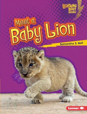 Book cover of Meet a Baby Lion