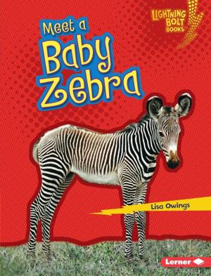 Cover of the book Meet a Baby Zebra by Brian P. Cleary