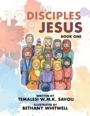 Book cover of The 12 Disciples of Jesus