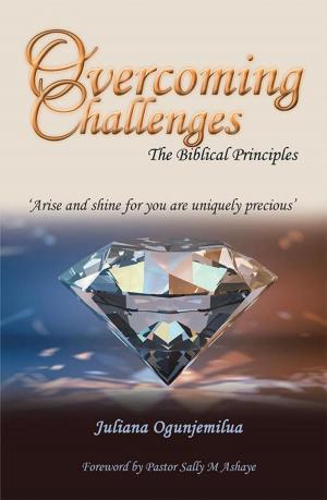 Cover of the book Overcoming Challenges by Ephriam Sando