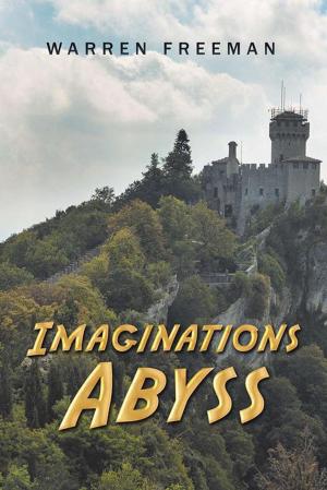 Cover of the book Imaginations Abyss by Fidel Angel Santiago
