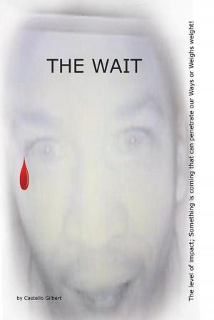 bigCover of the book The Wait by 