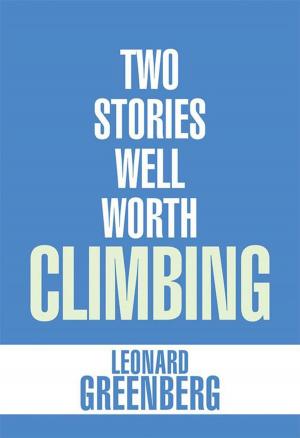 Cover of the book Two Stories Well Worth Climbing by Donald E. Fink